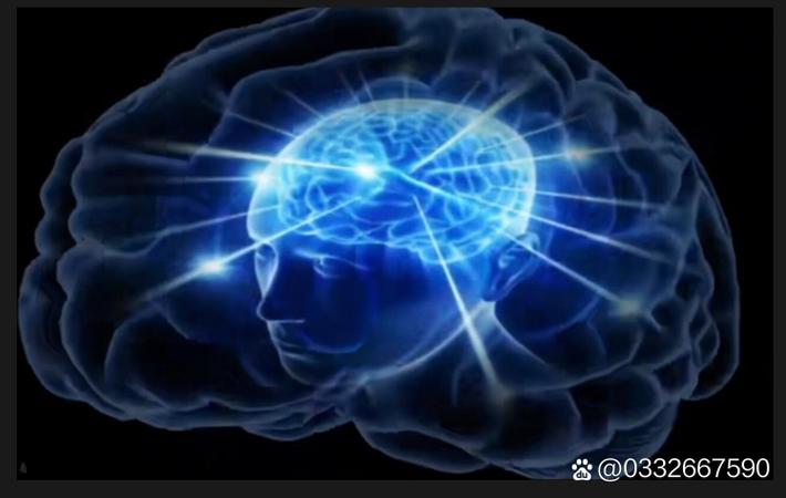顶级选秀节目内幕曝光：粉丝氪金数据造假，幕后操控全揭秘